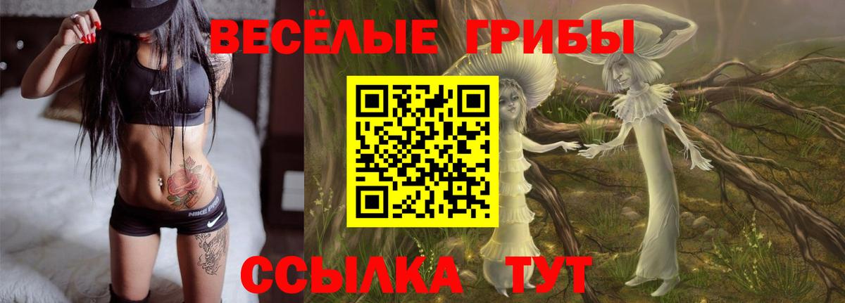 Шарыпово  Псилоцибиновые грибы прущие грибы  Вход с VPN 
